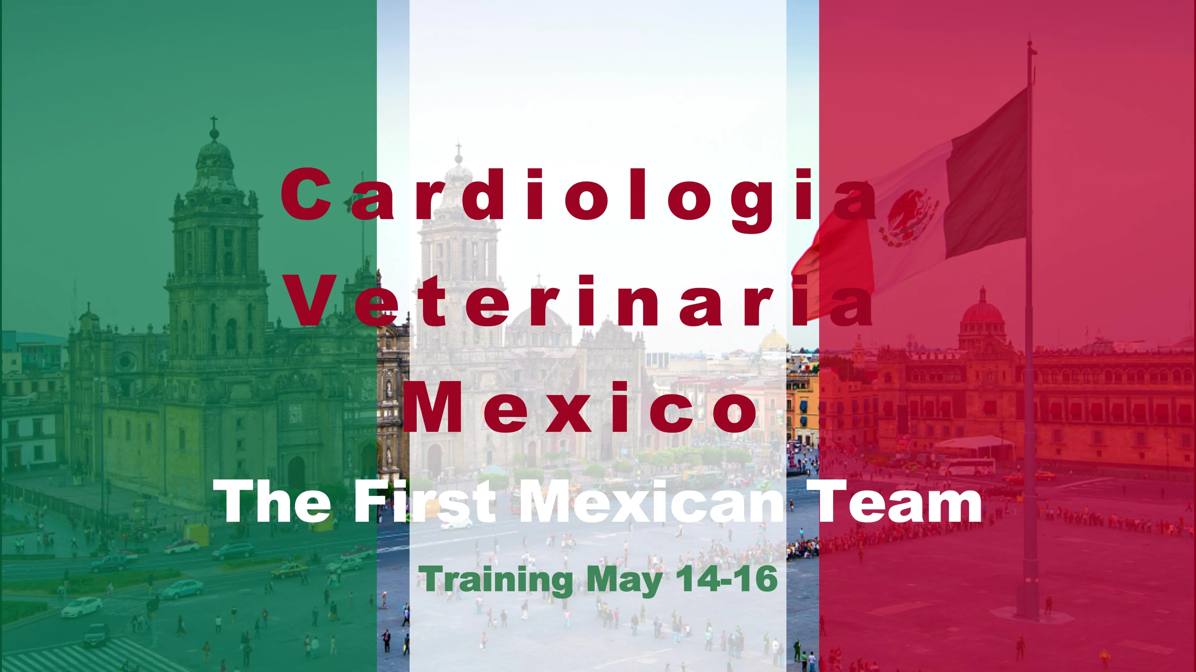 The First Mexican Team! CVM Team Completed V-Clamp Surgery Training