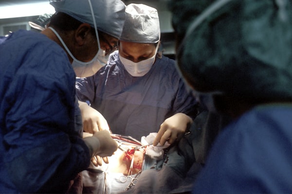 Redefining vascular management in companion-animal surgery